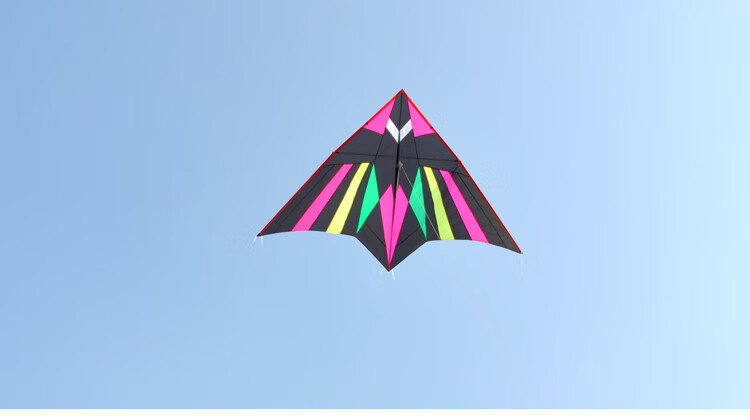 飞悦pa31p31n p31超微风易飞风筝大型成人二2三3平钻石钻天燕 2.