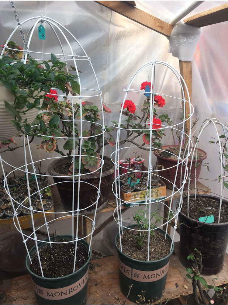芊阙花卉防倒支架造型铁丝手工diy铁线莲花架养花支撑棍月季植物绑花