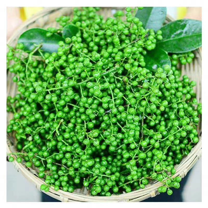 轻恋新鲜青花椒新鲜藤椒保鲜花椒重庆四川特产保鲜藤椒特麻特香九叶青