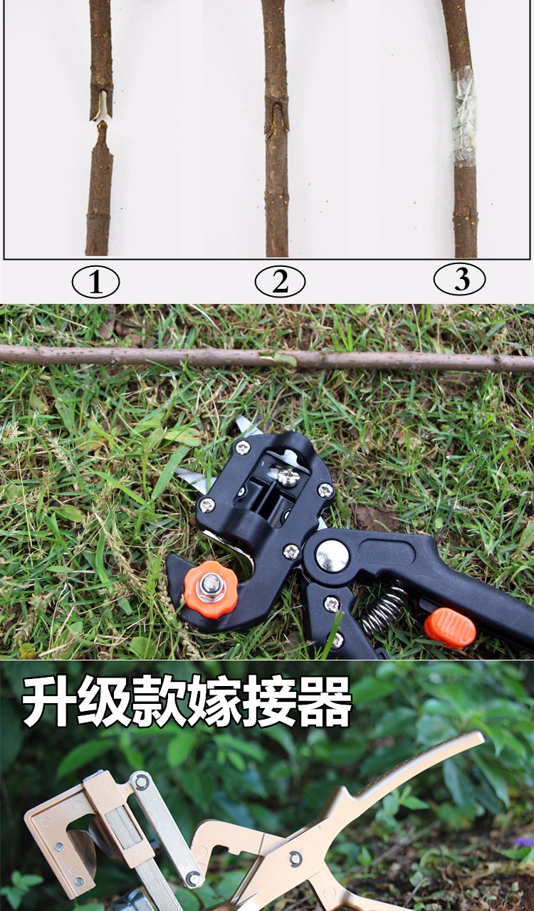 膜嫁接工具嫁接剪嫁接刀苗木多功能果树 墨绿豪华款 1卷膜【图片 价格