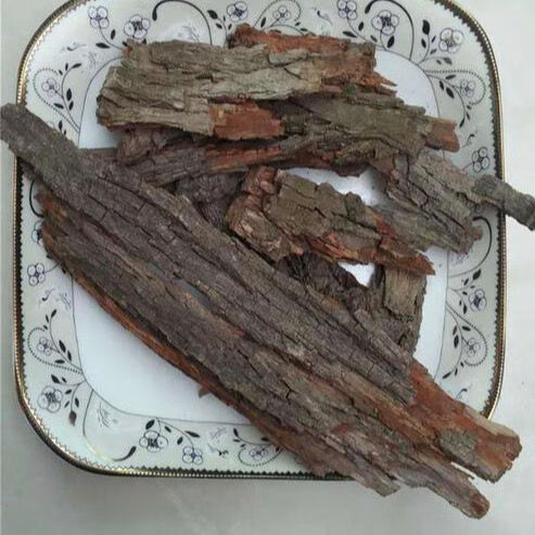 枣树皮精选野生农家老枣树皮