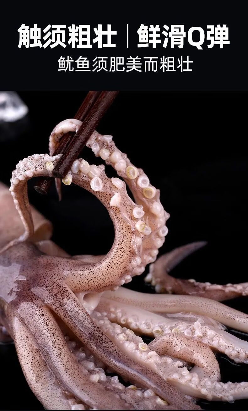 超大鱿鱼鲜活海捕冷冻水产新鲜鱿鱼大鱿鱼尤鱼整只5斤装现捕现发净重