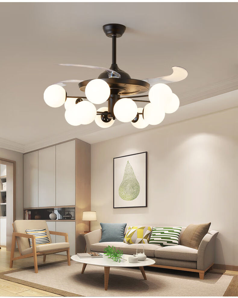 asnaghi吊灯风扇客厅风扇大风力一体家用餐厅卧室隐形吊扇带灯电风扇