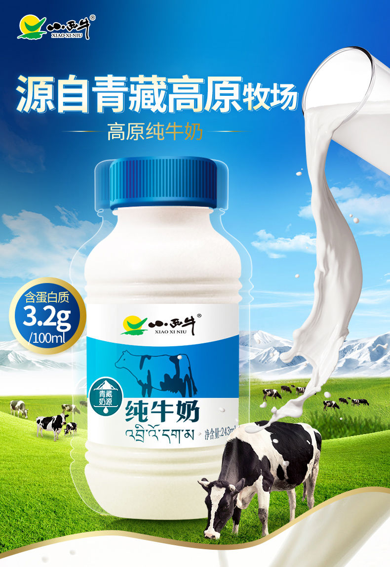 小西牛牛奶补钙早餐奶学生全脂牛奶整箱日期新鲜243ml12瓶12瓶箱小西