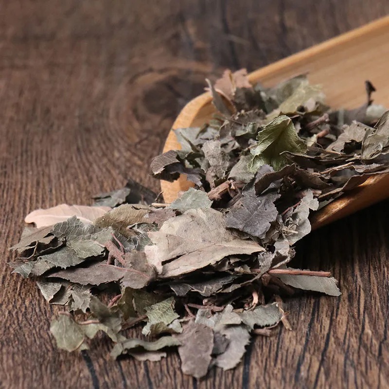 同仁堂平地木中药材矮地茶野生平地木 不出林 叶底珠 叶下红【图片