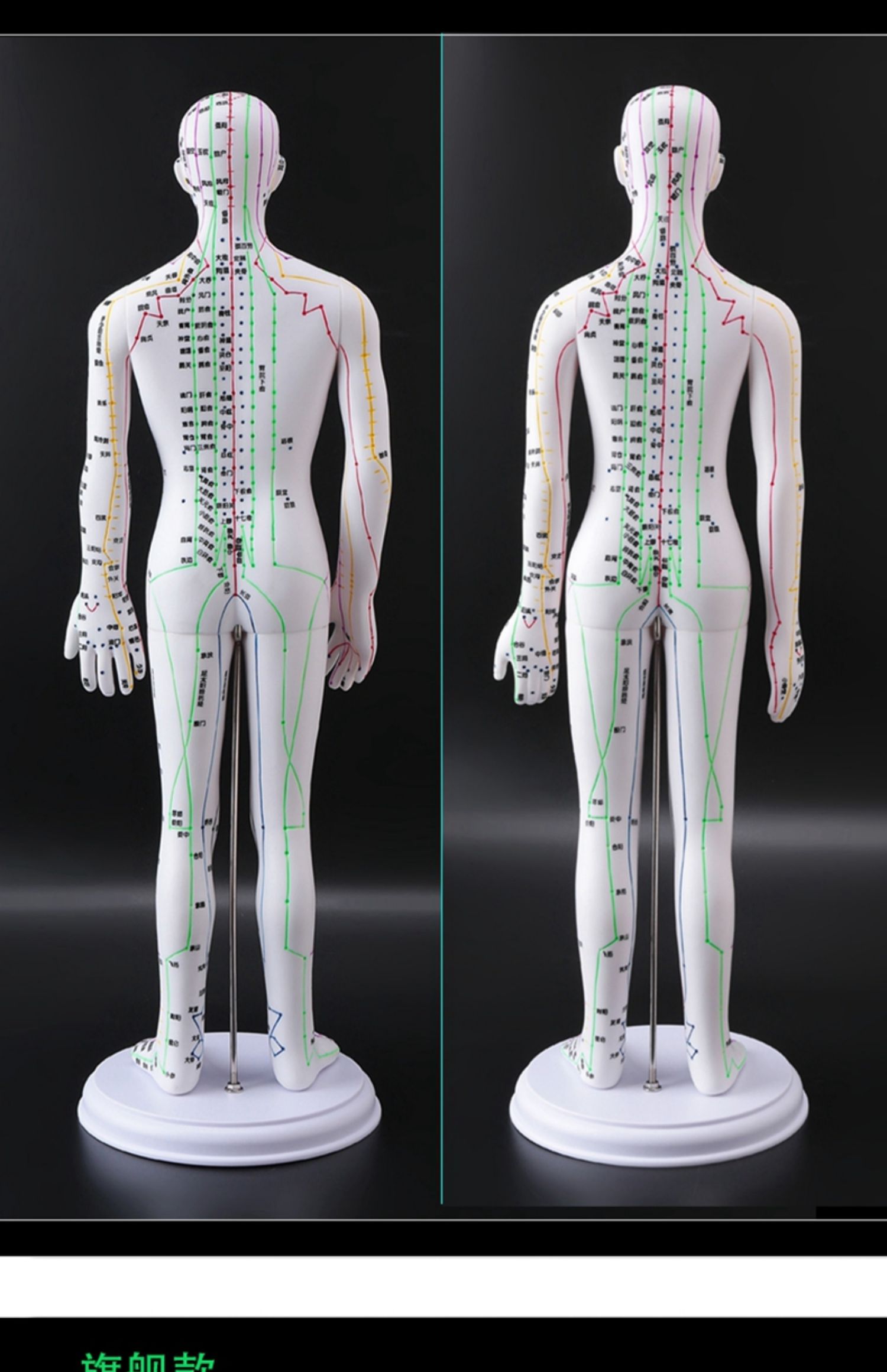 中医学生教学经络针灸穴位人形人体模型可扎针十二全身图高清铜人 铜