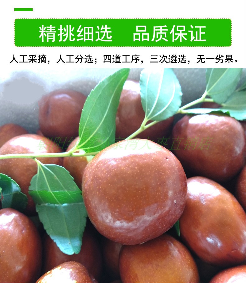悠妃 朝阳孙家湾大枣大铃铛枣鲜枣带箱5斤装金铃枣圆铃枣新鲜大个头