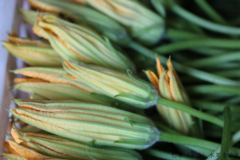 【露天菜园】自种新鲜南瓜花 食用蔬菜花 北瓜花倭瓜花番瓜花 特色菜