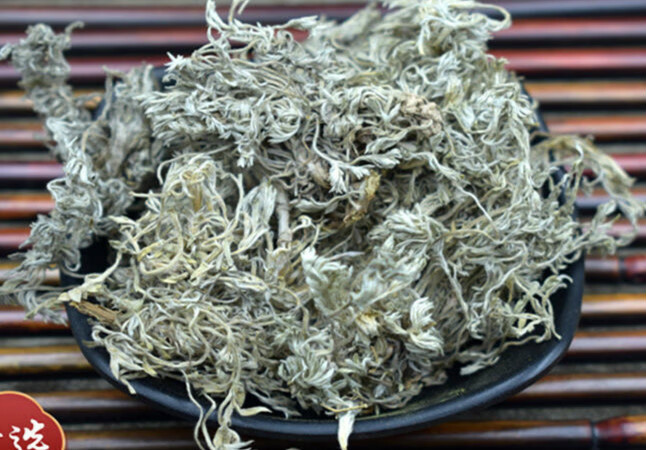 茵陳新鮮食用白蒿散湯中藥材乾的 大顆茵陳500g送100g棗片 曬乾避免