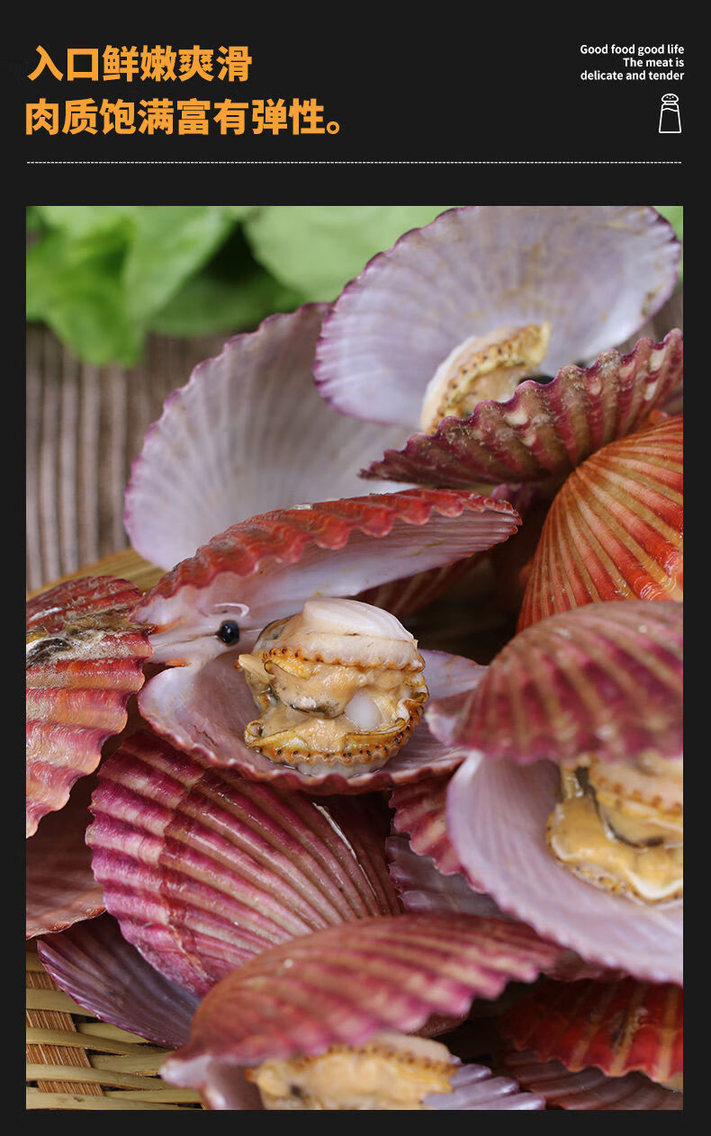 扇贝鲜活带壳超大半壳夏威夷贝虾夷贝特大扇贝新鲜蒜蓉粉丝扇贝肉四斤