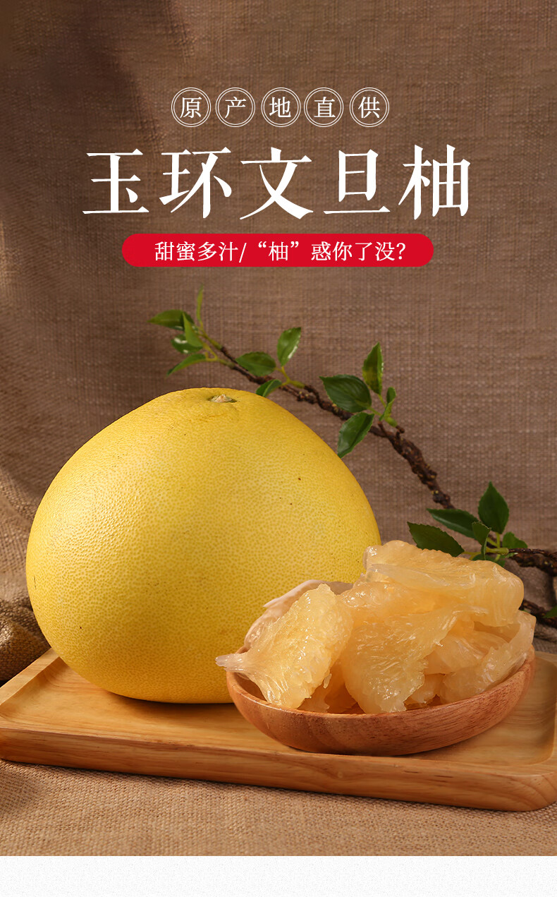 玫栀 精品正宗玉环大文旦柚子当季新鲜孕妇水果浙江台州楚门蜜柚 20斤