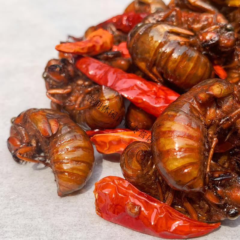 油炸蝉知了猴即食椒盐麻辣新鲜蚕蝉蛹爬叉虫子肉食零食100只 50只