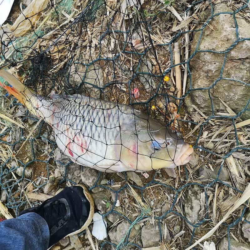 珠珠爆炸钩 手工diy海竿底钓爆炸饵钩抛杆钓鱼鲤鱼草鱼鲫鱼青鱼钓钩子