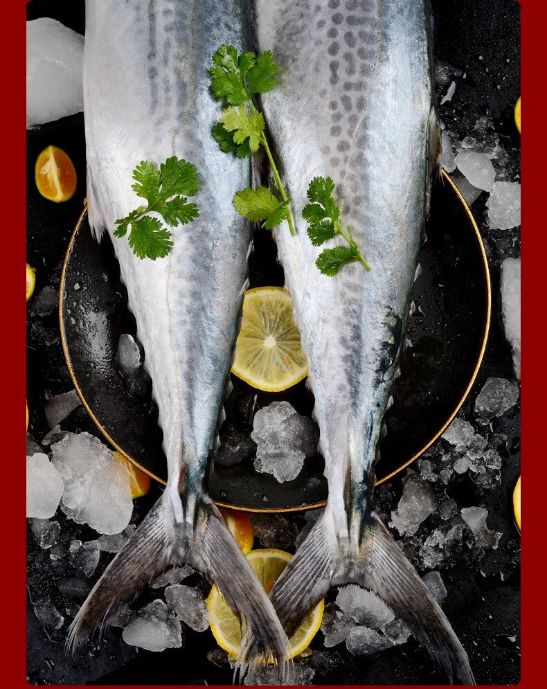 jd物流鲅鱼蓝点马鲛鱼鲜活海捕冷冻海鲜水产马鲛鱼新鲜青岛大鲅鱼团建