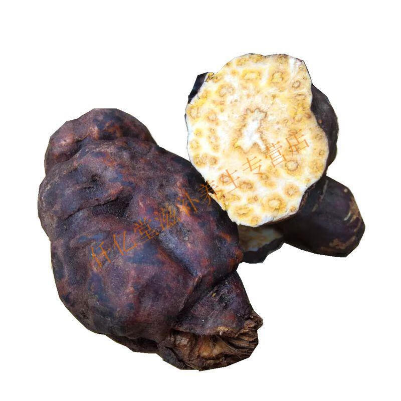 何首乌新鲜何首乌中药材何首乌苗鲜首乌赤首乌生首乌500克 新鲜何首乌