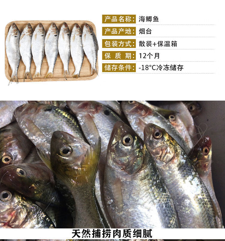 海鲫鱼(规格1斤6条) 净重5斤 少称包赔【图片 价格 品牌 报价】-京东