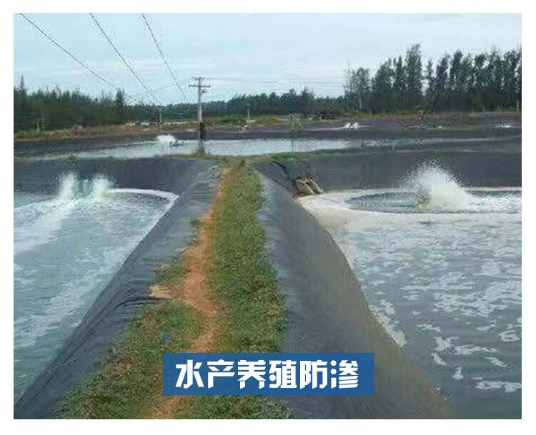 幻翎土工膜防水防滲膜人工湖魚塘魚池河道護坡塑料膜複合一布兩布一膜