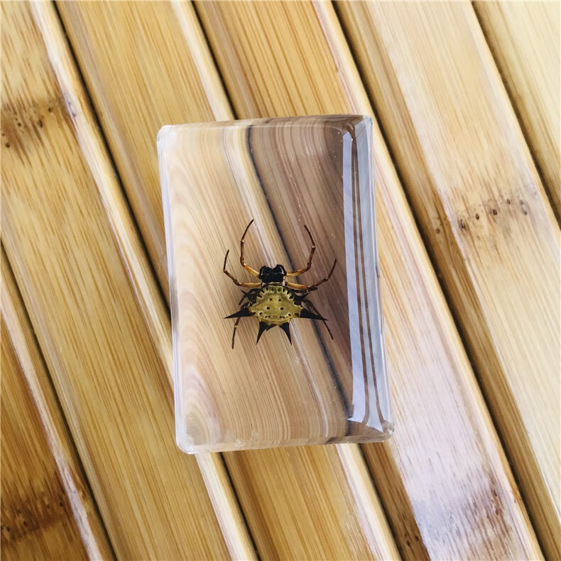 小米mi小米生态同款艾薇新款手工滴胶树脂昆虫书镇透明琥珀昆虫标本