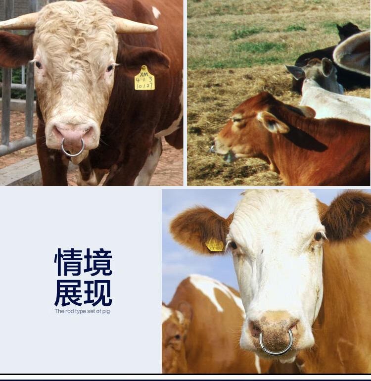 其六不锈钢牛鼻环碳钢牛鼻圈拴牛圈牛鼻子养殖牵引牛鼻钳牛用保定器