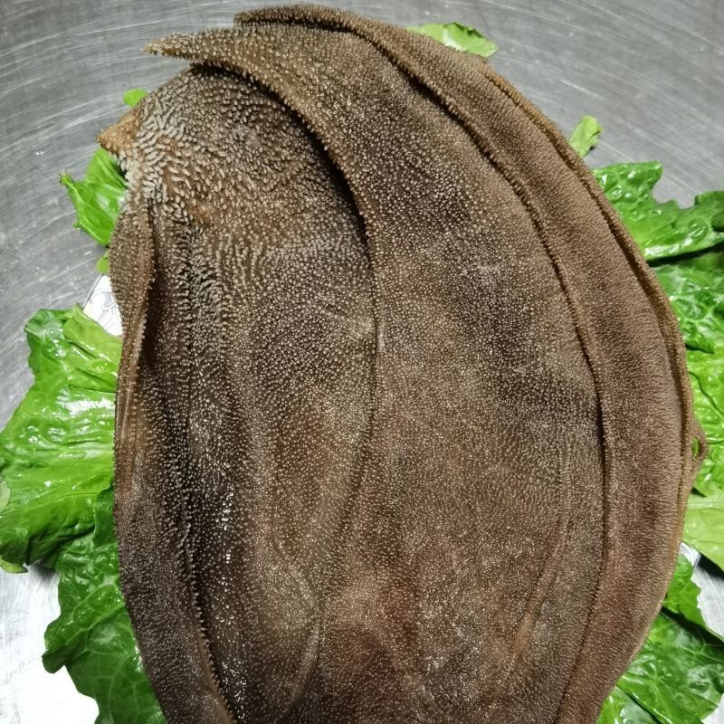 火锅食材冒菜串串配菜牛肚牛杂批发5斤毛肚大叶片新鲜牛百叶商用 福茹