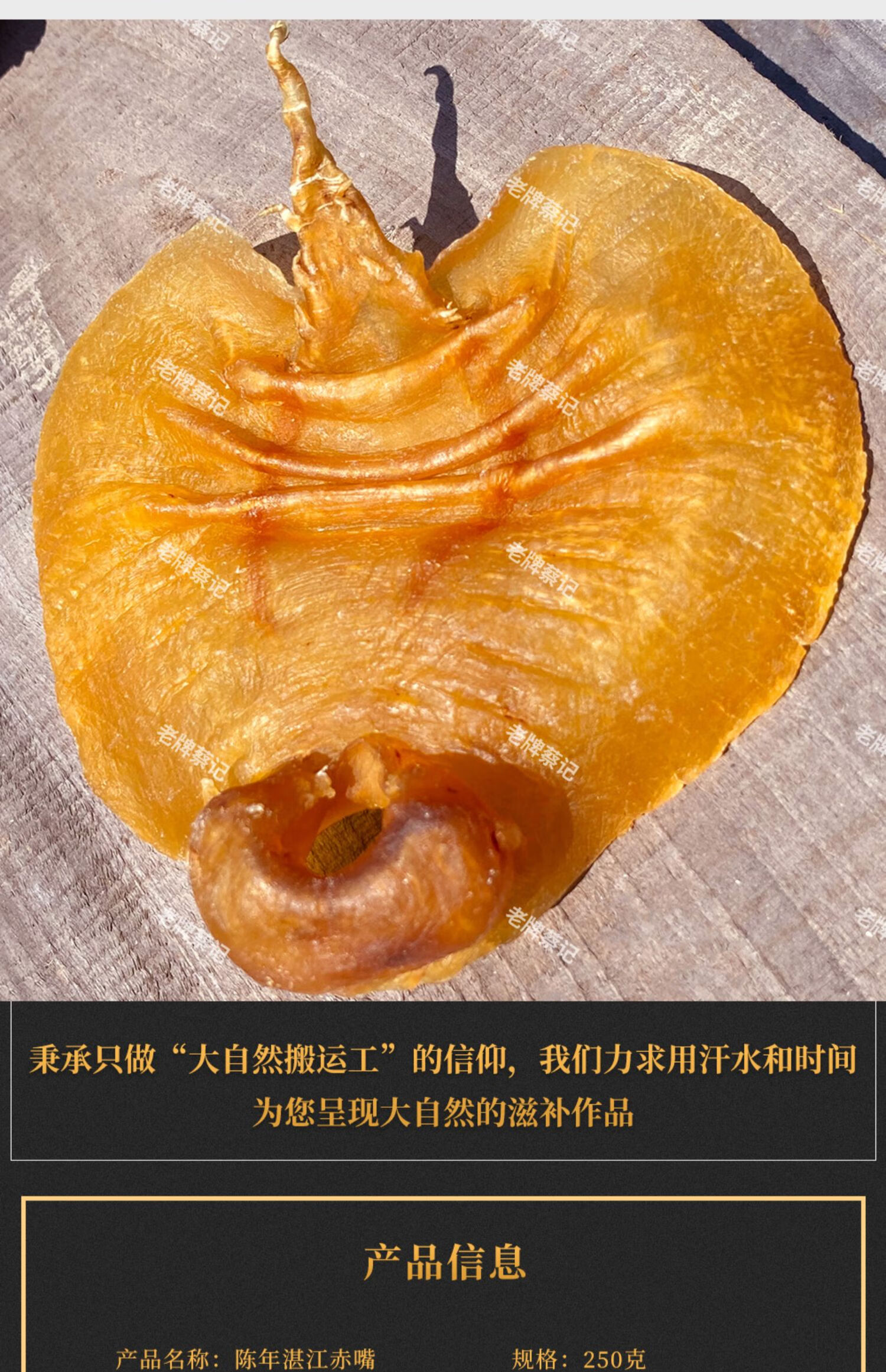 【8年老胶】湛江赤嘴鳘鱼胶公肚花胶干货深海孕妇滋补9个250g【图片