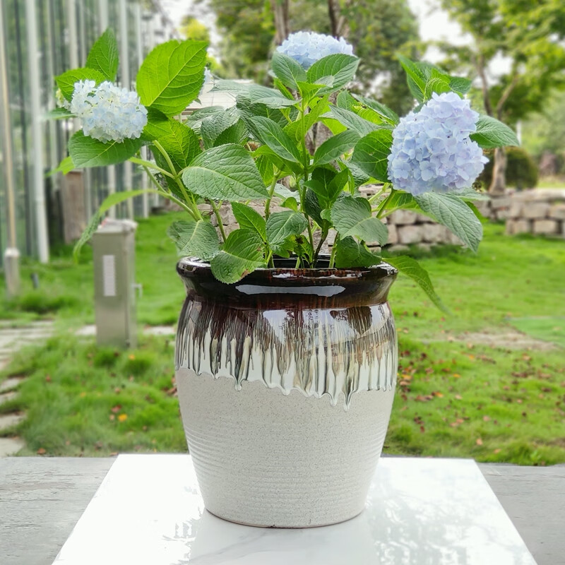 大号花盆发财树绣球大花盆陶瓷特大号深高盆30客厅仿古粗陶罐种树 亚