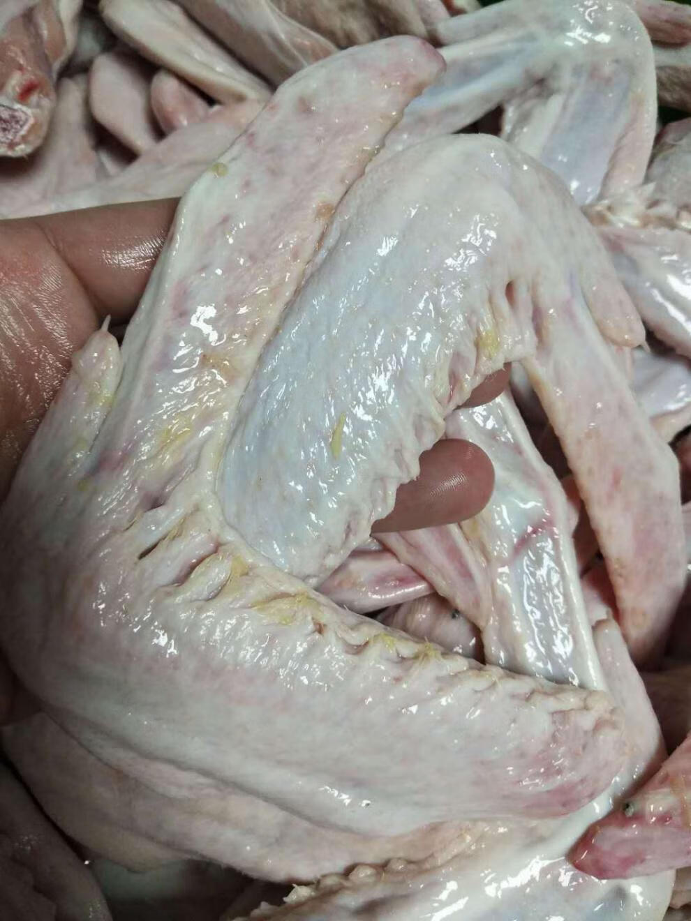 力厨肉篮子佛山发货新鲜鸭特大翅鸭翅膀生鸭翅烧烤麻辣卤味食材2斤土