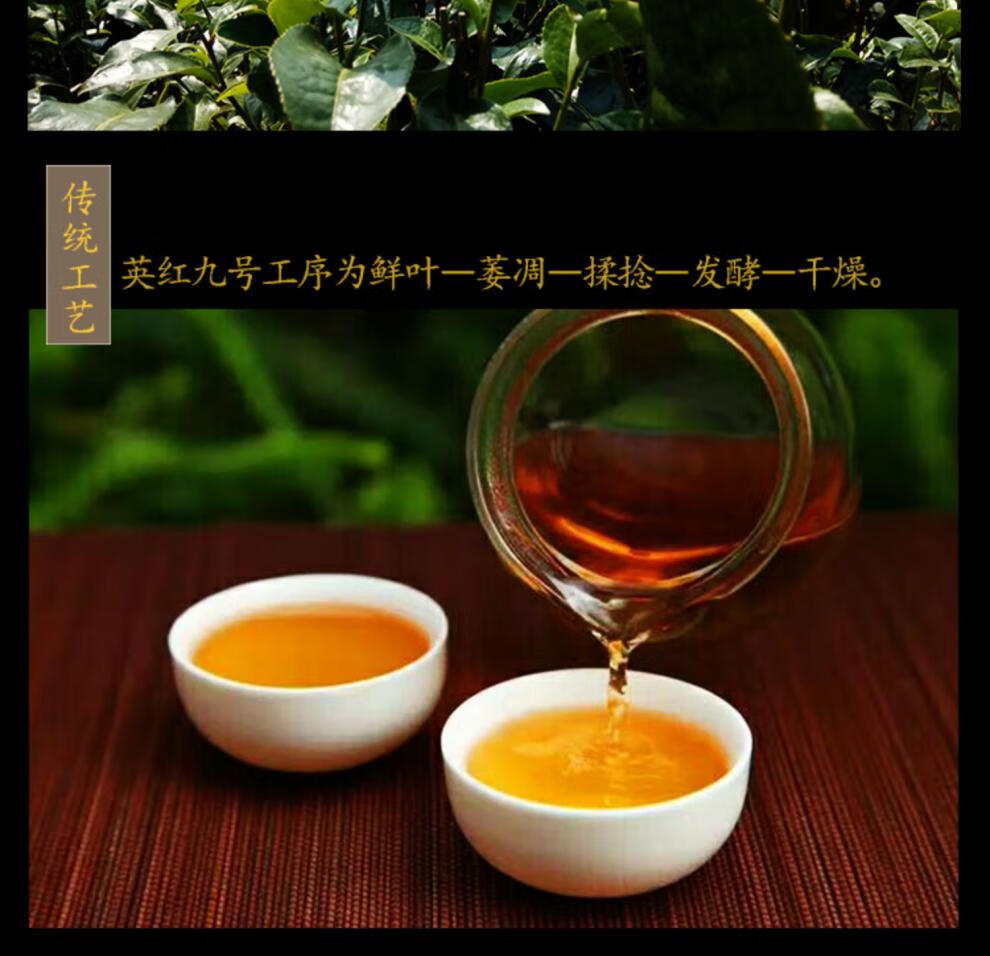 5折 广东英德红茶 英红九号特级浓香型功夫新茶叶250g礼盒罐装1959英