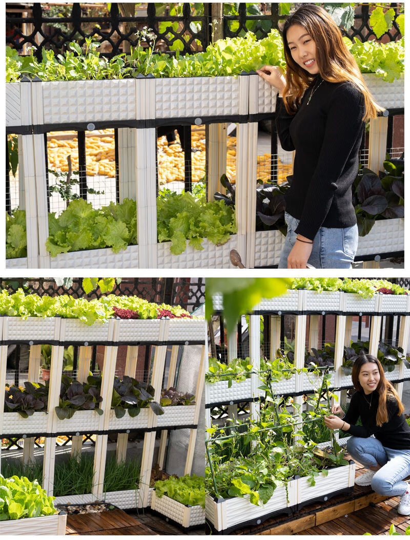 立体2 2品牌:雷帕汀加入购物车本店好评商