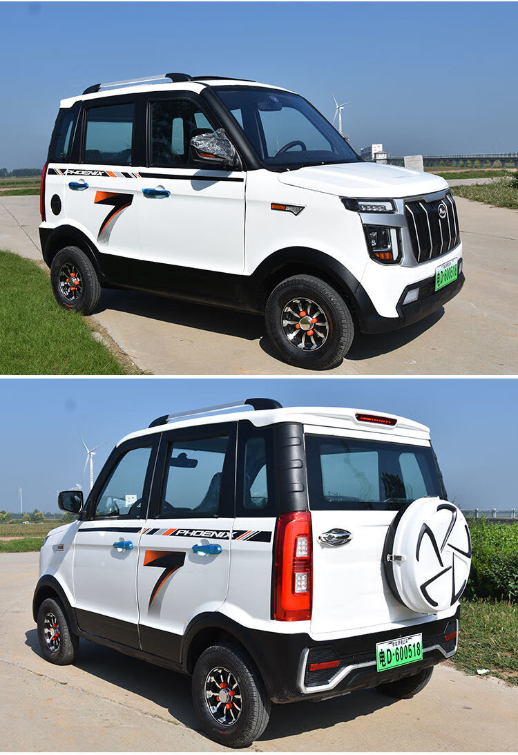 电动汽车成人全封闭油电两用四轮轿车老年四轮代步车越野车套餐四锂