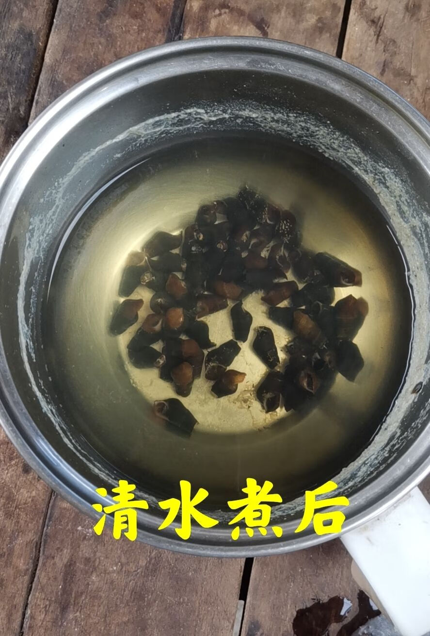 广西 新鲜山坑螺 野河坑螺 黑钉螺 黑螺 长螺丝 山螺特产 2斤去尾巴