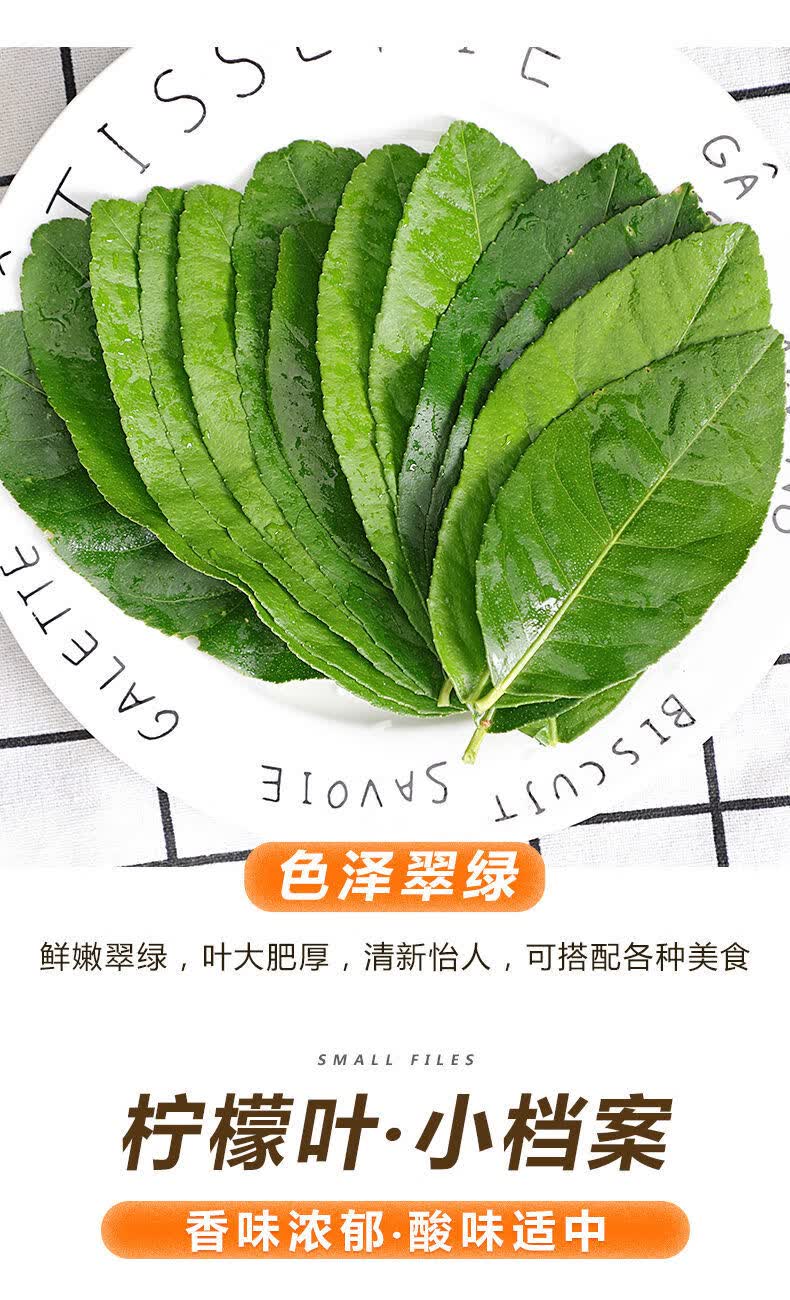 新鲜柠檬叶带枝烹饪香料青柠叶西餐料理冬阴功汤调料火锅配料新鲜柠檬