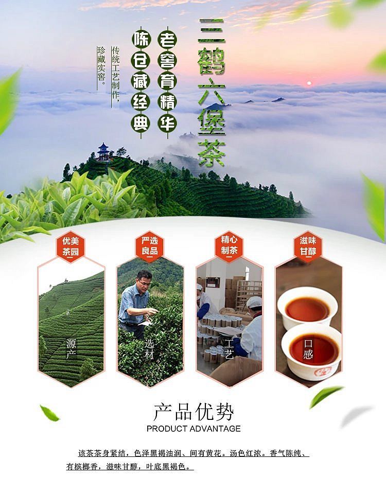 三鹤六堡茶0101介绍图片