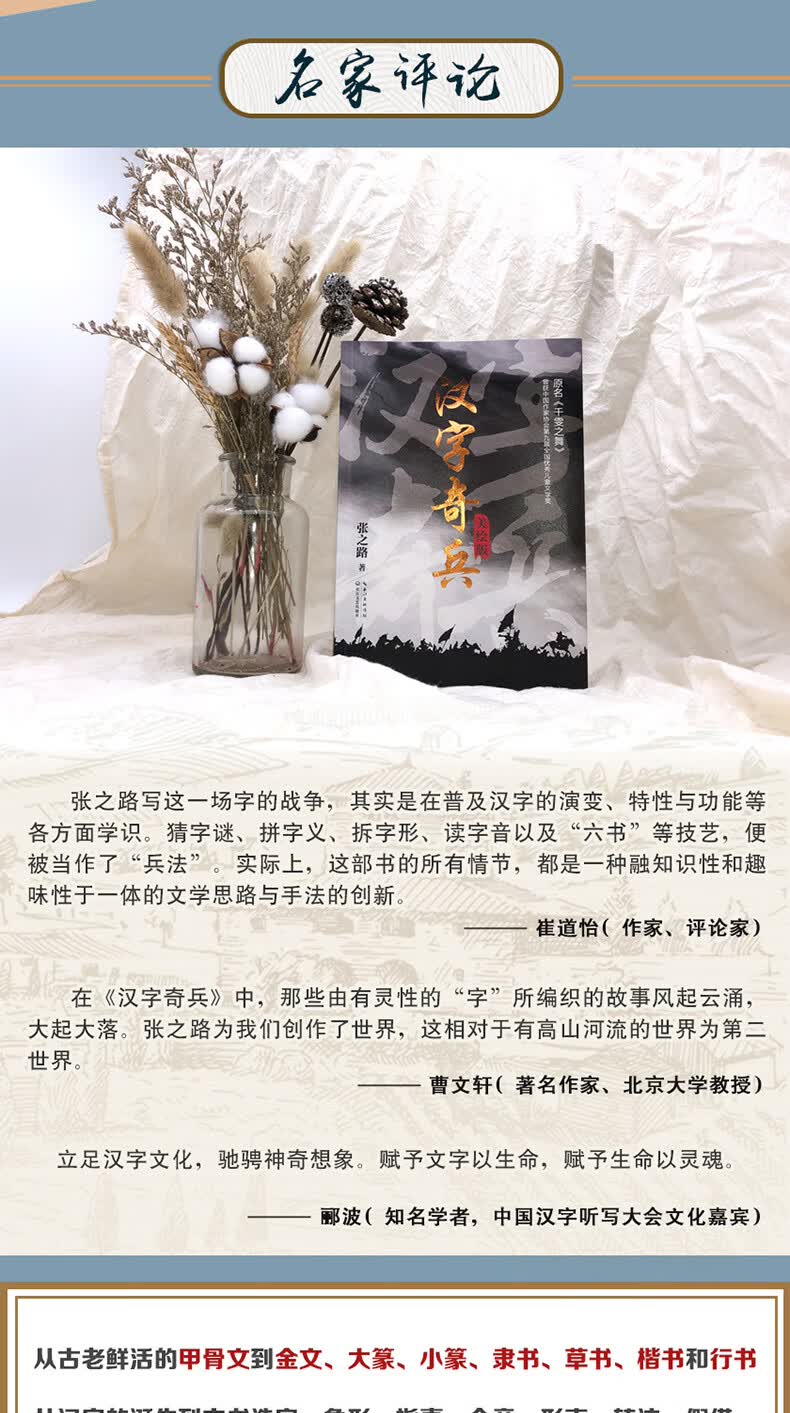 《正版包邮 六年级必读经典书目 包邮美绘版汉字奇兵张之路著 飞向