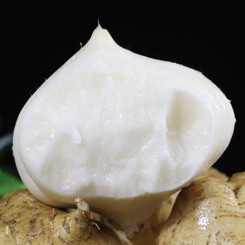 年货精选现货新鲜凉薯10斤四川土瓜农家现挖现发白薯蔬菜地瓜番薯山芋