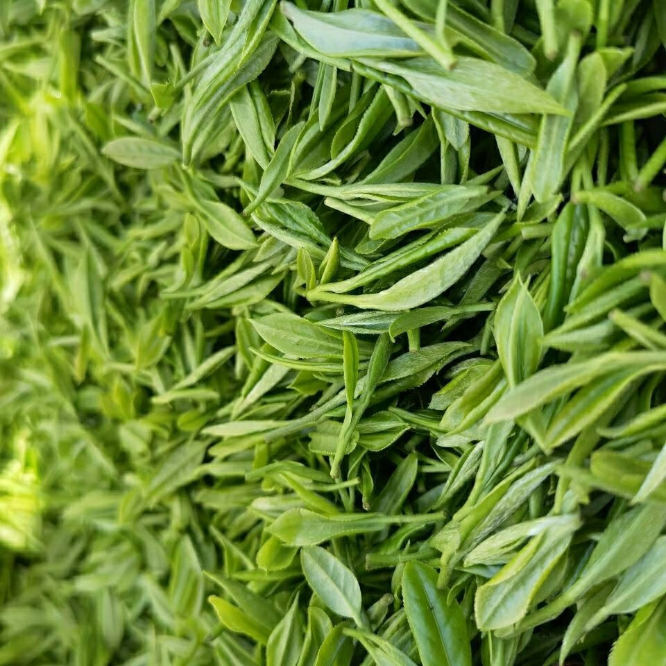 2022新茶泾县汀溪明前兰香茶特级茶口粮茶安徽头采绿茶高山茶400g礼盒