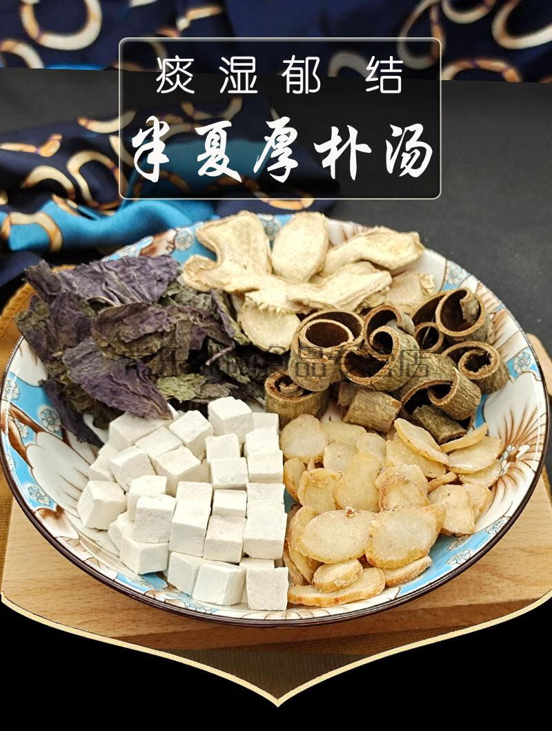 半夏汤10副 同仁原料 半夏厚补汤丸梅核气咽喉异物感有痰湿同仁同堂