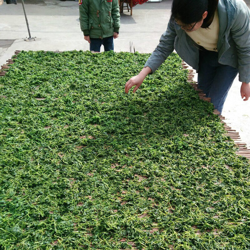 橙伯乐草头干货500克张家港地方特产草头干央草干金花菜干500g500g