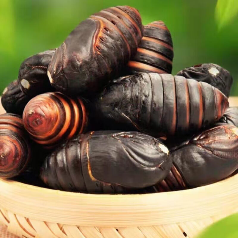 黑蚕蛹新鲜 蚕蛹东北特产黄蚕蛹新鲜活蚕蛹辽宁茧蛹蝉蛹 二黄 3-4