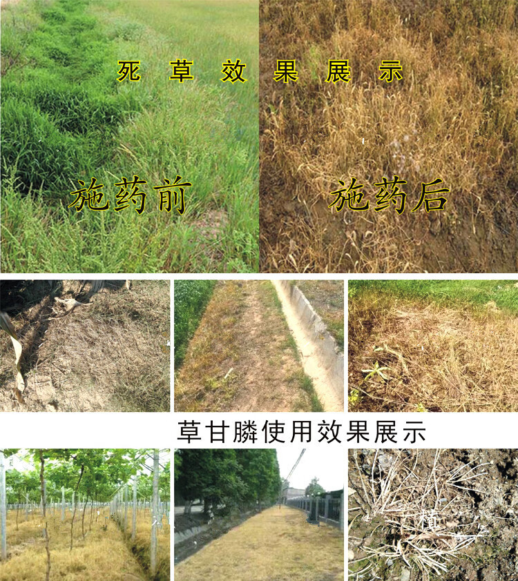 新货草甘膦铵盐水剂草甘磷多年生杂草烂根国产农达除草剂农药200g200g