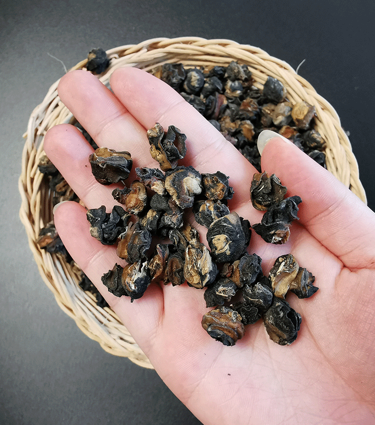 圣诞精选元旦田螺肉干大号田螺肉干货干田螺肉广西螺蛳粉配料螺丝肉