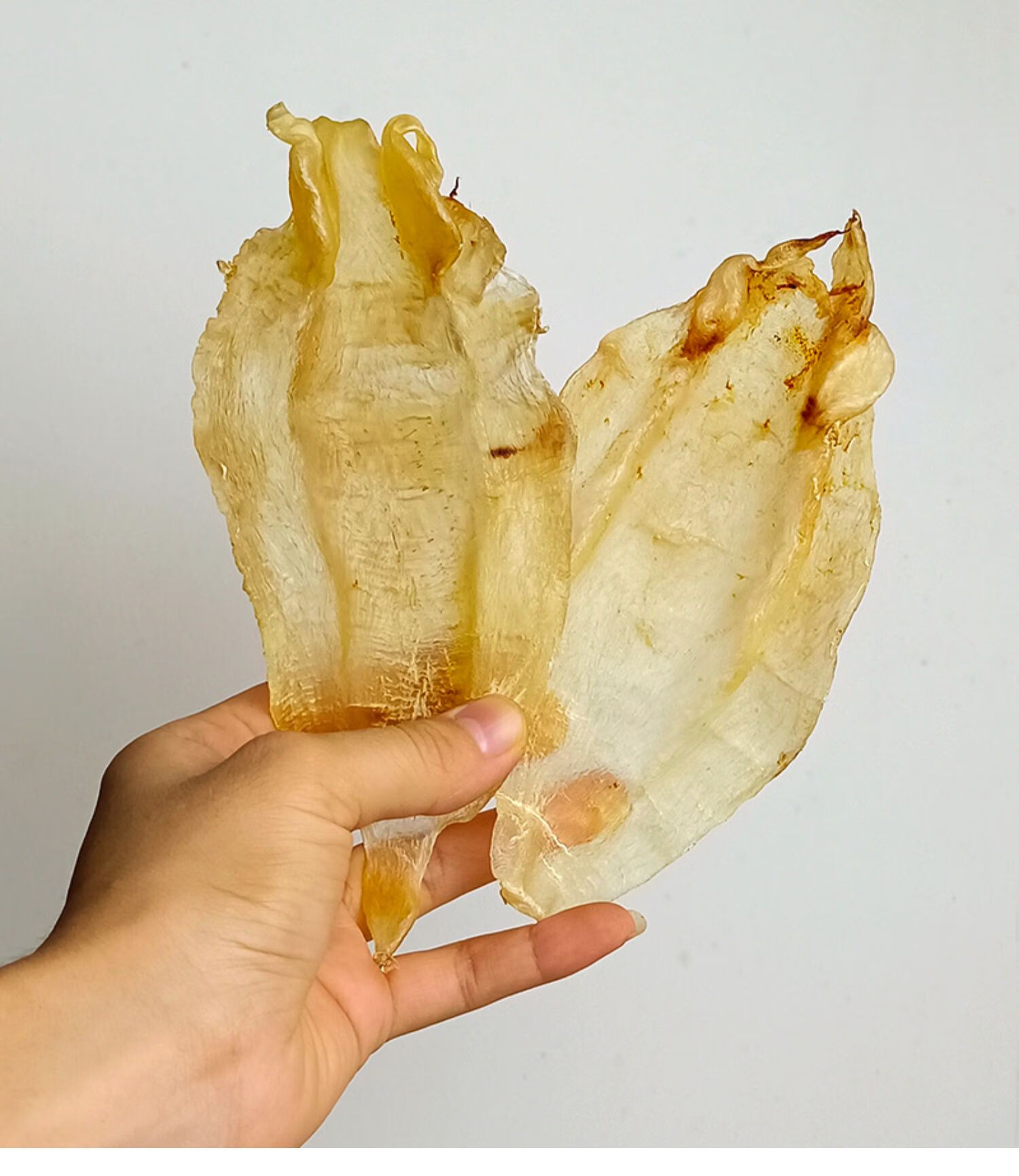 苏里南母柔肉北海胶鳘鱼胶野生深海花胶干货250 肉质细腻口感好 35头