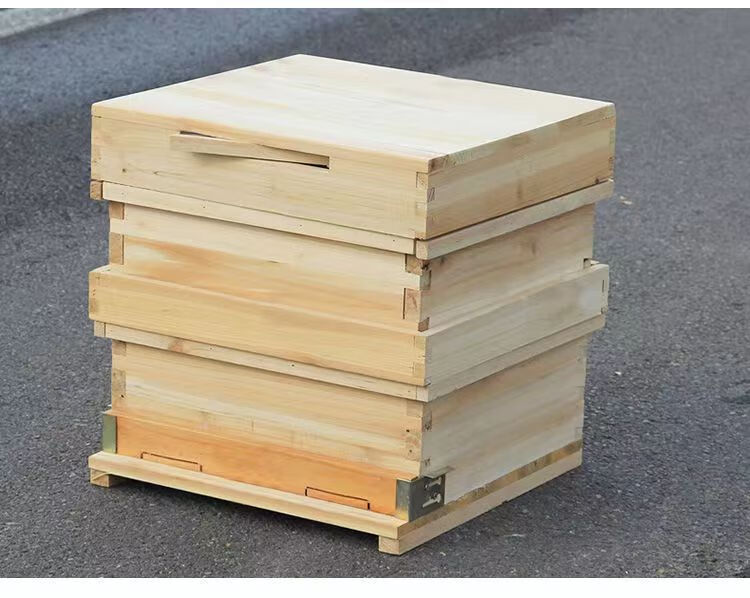 gn蜂箱全套带框杉木中蜂土蜂养蜂烘干龚凫羌从化式标准养蜂蜜蜂箱20个