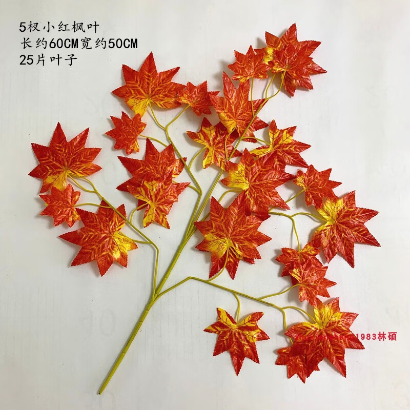 园艺仿真红枫叶枫树叶工程装饰假树叶过胶叶子银杏叶秋季绿植梧桐叶深
