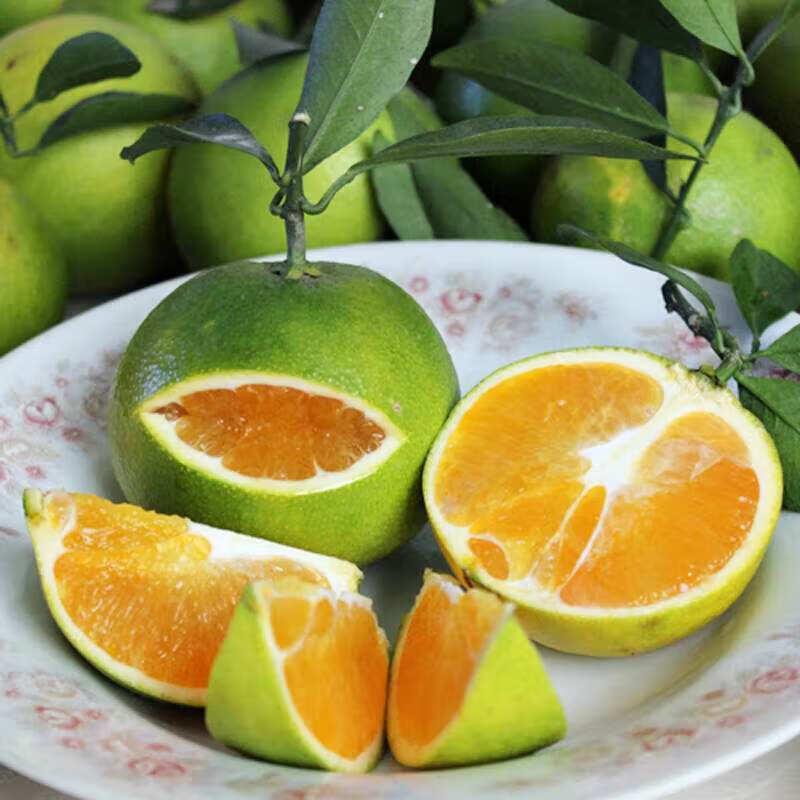 海南新鲜绿橙橙子新鲜水果当季三亚夏橙五指山特产绿橙海南绿橙3斤装