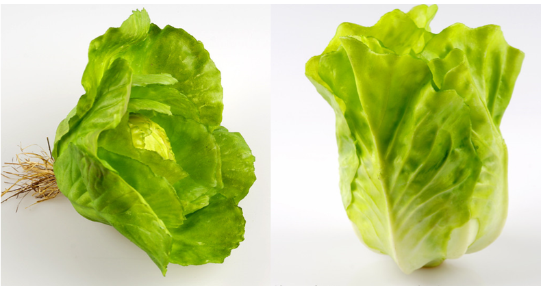 仿真蔬菜模型假生菜心仿真生菜叶片橱柜家居软装摆挂设件摄影道具乳