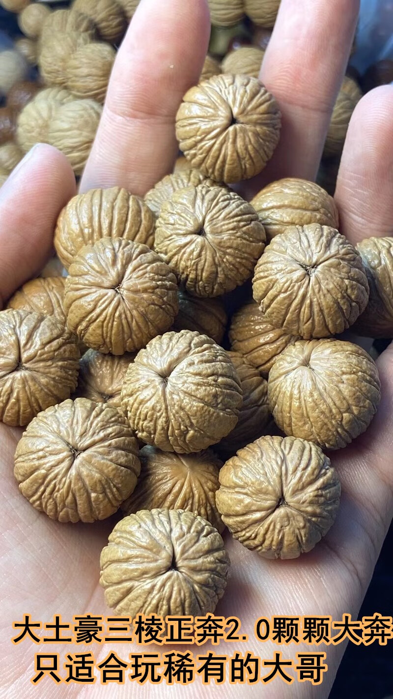 京品优选捡漏野生核桃金丝猴头手串土豪1820圆矮桩12原籽文玩金刚菩提