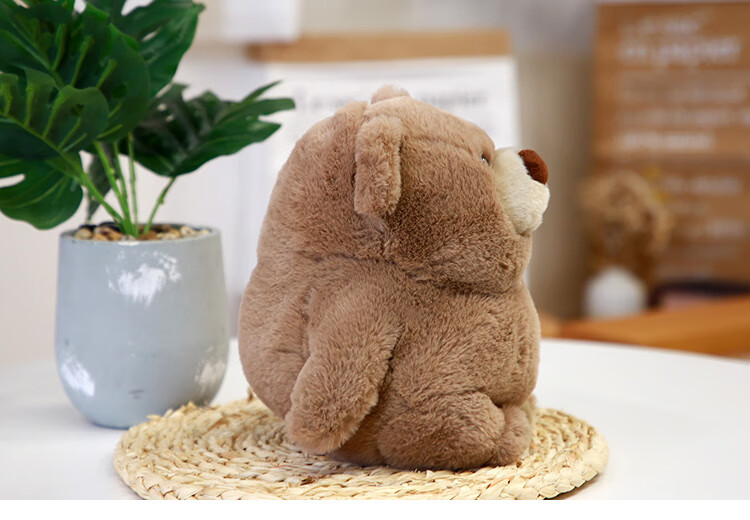 胖胖熊小熊公仔熊玩偶毛绒玩具可爱胖墩大熊猫娃娃抱睡六一礼物