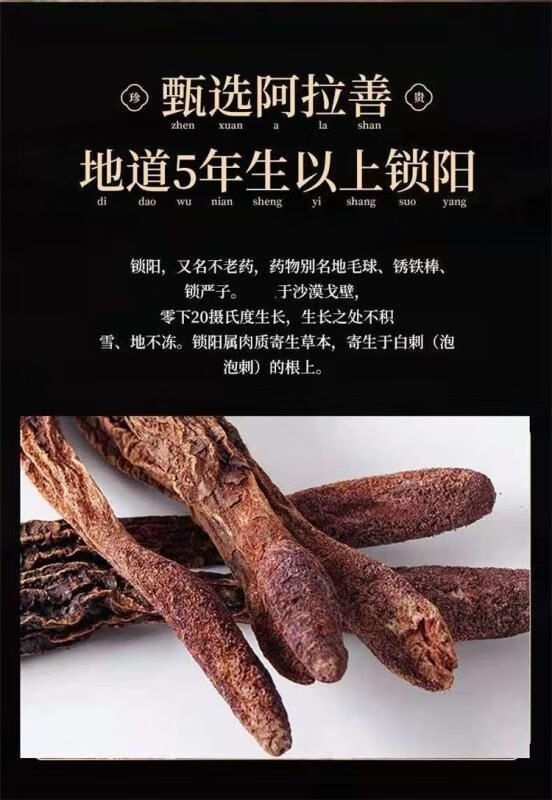 内蒙古阿拉善锁阳肉苁蓉男滋补泡酒料泡水金锁阳可搭淫羊藿肉苁蓉整根