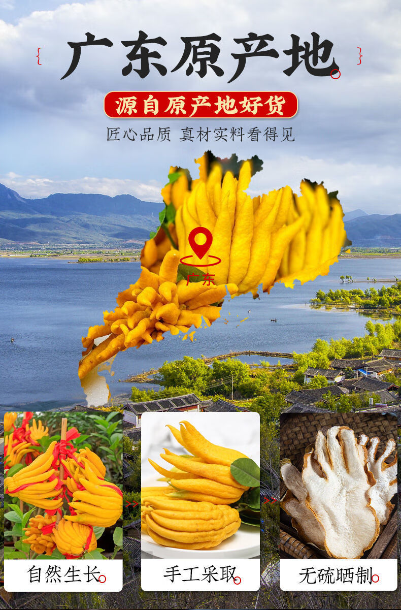 【京选】野生佛手片500克中材佛手片天然佛手果干广佛手柑泡茶水50g